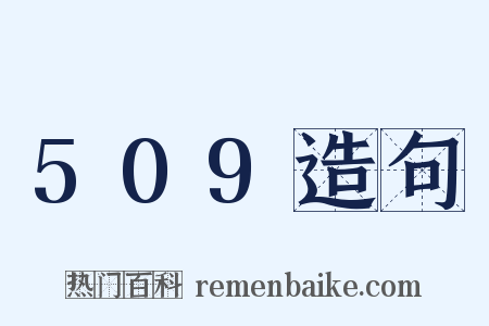 509造句是什么意思的图片